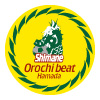 オロチビート島根